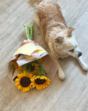 Load image into Gallery viewer, Seasonal Favorite | Sunflowers