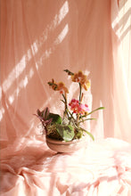 Load image into Gallery viewer, Rococo Orchid Bowl