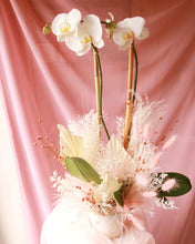 Load image into Gallery viewer, I Dream of Orchids