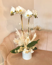 Load image into Gallery viewer, I Dream of Orchids