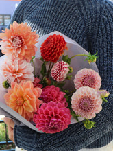 Load image into Gallery viewer, LOCAL DAHLIA SALE! Seasonal Favorite | Dahlias
