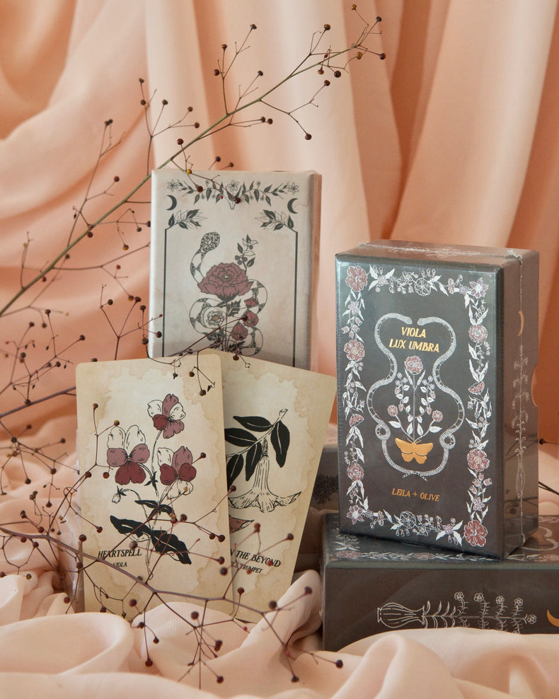 Leila Olive | Tarot Cards