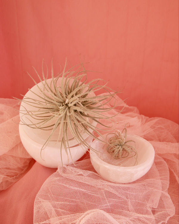 Hand Carved Selenite Bowl image 1