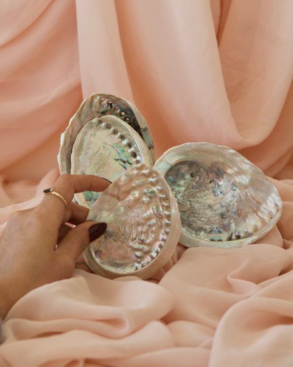 Abalone Shell image 1