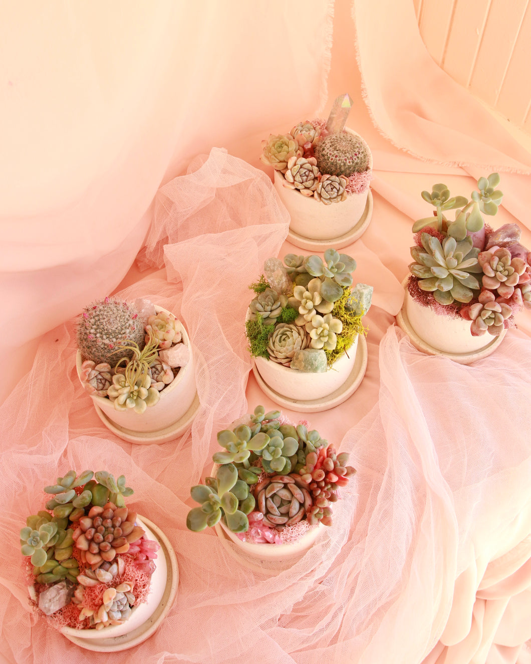 *Magical* Succulent Bowl