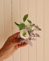 Neutral, Garden thumbnail 2