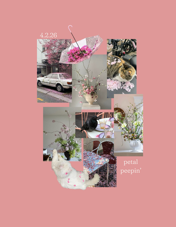 Spring Workshop Series | 4.2.26 Petal Peepin' image 1