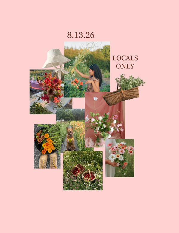 LOCALS ONLY! Workshop | 8.13.26 image 1