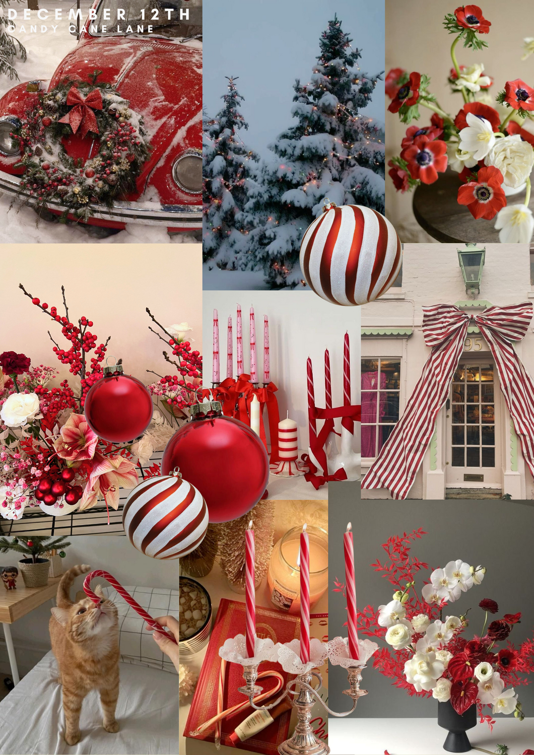 Winter Series Workshops | 12.12 Candy Cane Lane