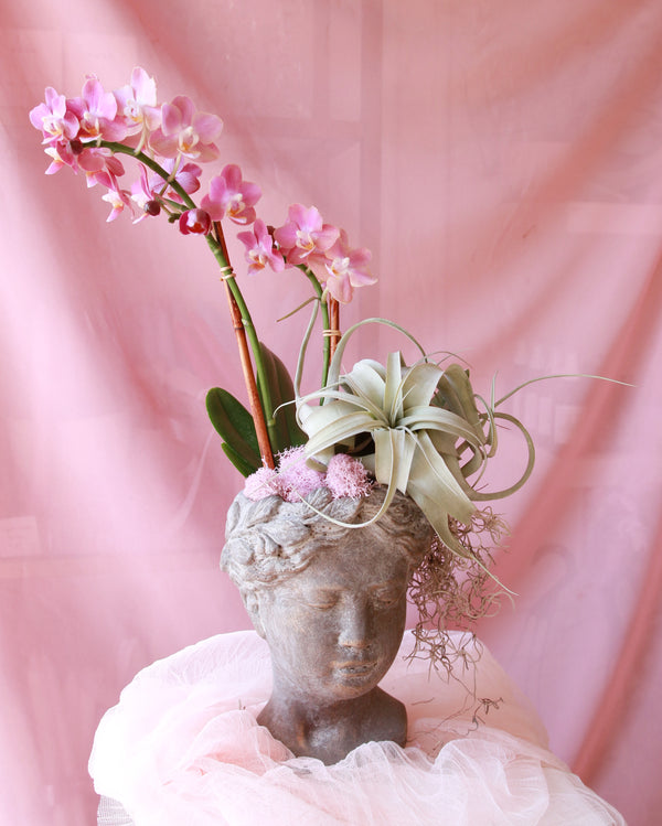 The Wisdom Planter image 1