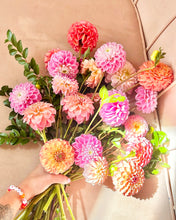 Load image into Gallery viewer, LOCAL DAHLIA SALE! Seasonal Favorite | Dahlias
